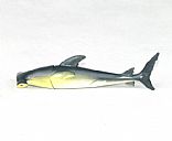 Seafish ballpen,Picture