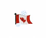 Canada flag flash,Pictrue