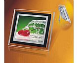 Digital picture frames