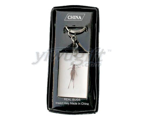 Fashion key ring, picture