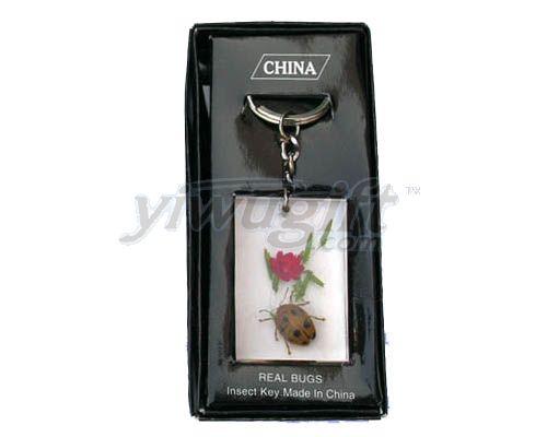 Key ring, picture