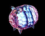 Crystal pig, Picture