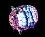 Crystal pig,Picture