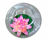 Glass urn,Pictrue