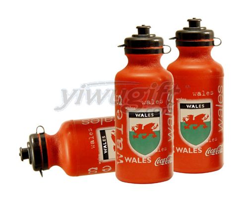 plastic sport's water bottle, picture