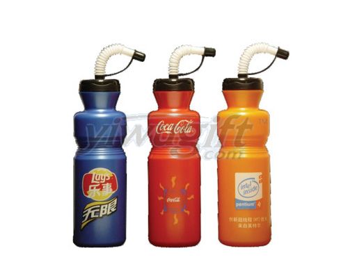 Fashion sports  bottle, picture