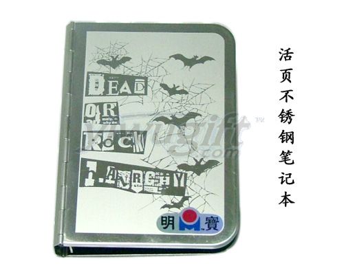 Stainless Steel notebook, picture