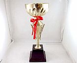 New Arts trophy