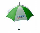 Promotion  umbrella, Picture