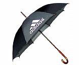 Durable  umbrella, Picture