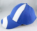 Advertising cap,Picture