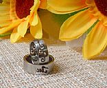 Stainless steel ring, Picture