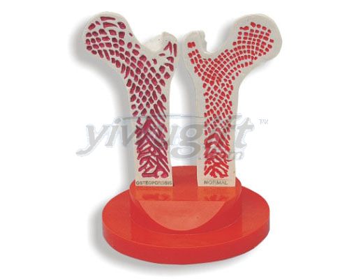 Medicine plaster mould, picture