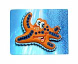 starfish pvc rubberise fridge magnet,Pictrue