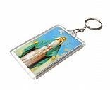 plasic key chain, Picture