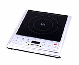 Induction Cooker