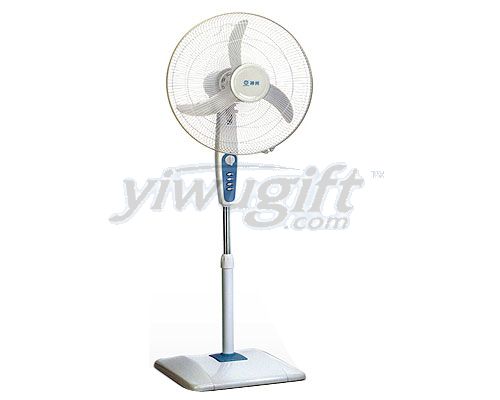 Fans, picture