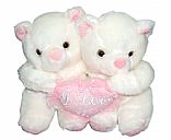 Couples Bear pillow,Picture