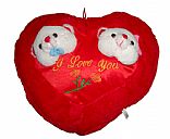 Teddy bear pillow,Picture