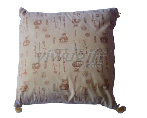 Fancy pillow, picture