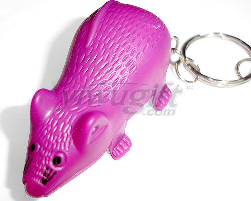 plastic key chain, picture