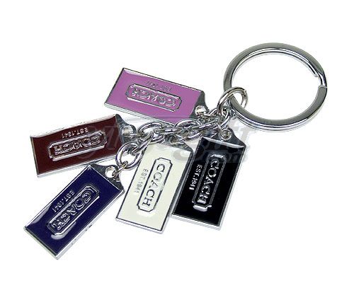 metal key chain, picture