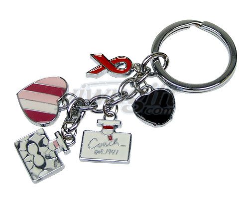 metal key chain, picture