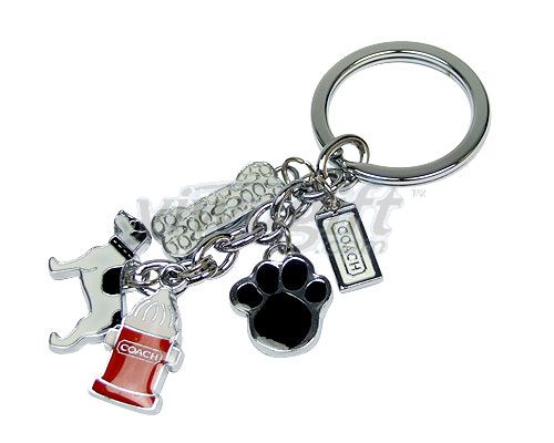 metal key chain, picture