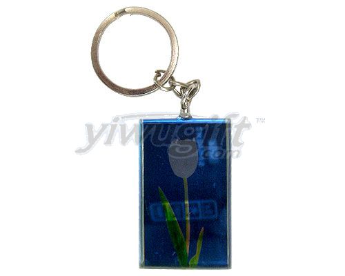 Crystal key chain, picture