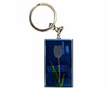 Crystal key chain,Pictrue