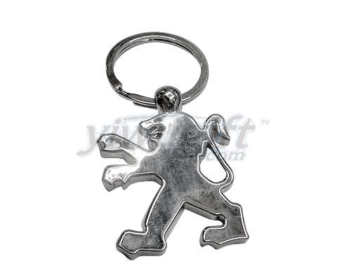 Metal key ring, picture