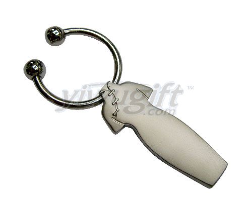 Metal key ring, picture