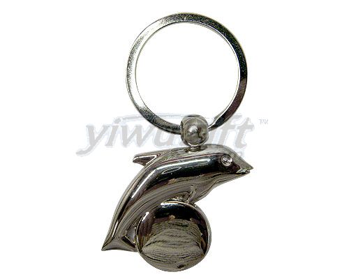 Metal key ring, picture