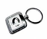 Metal key ring,Picture