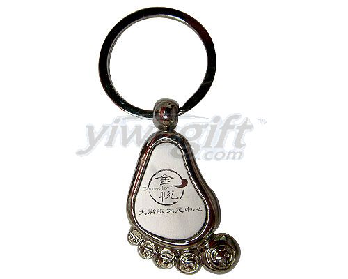 Metal key ring, picture