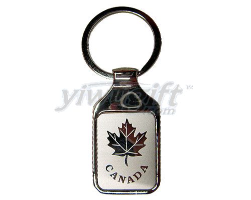 Metal key ring, picture