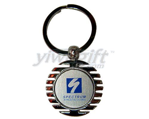 Metal key ring, picture