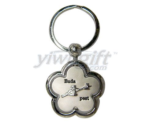 Metal key ring, picture