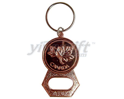 Metal key ring, picture