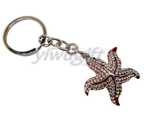 matal key chain, picture