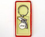 Metal key ring, Picture