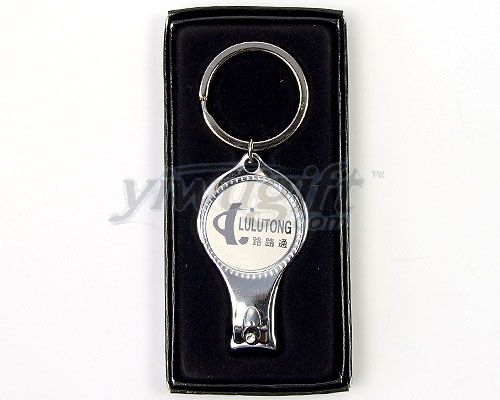 Metal key ring, picture