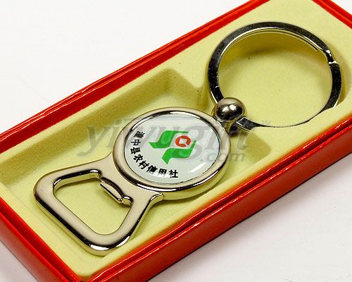 Metal key ring, picture