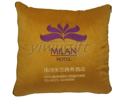 pillow, picture