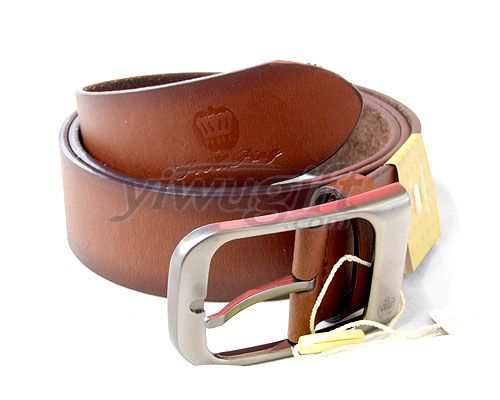 Pin buckle belt, picture