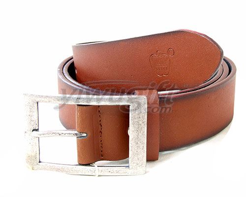 Pin buckle belt, picture