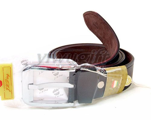 Pin buckle belt, picture