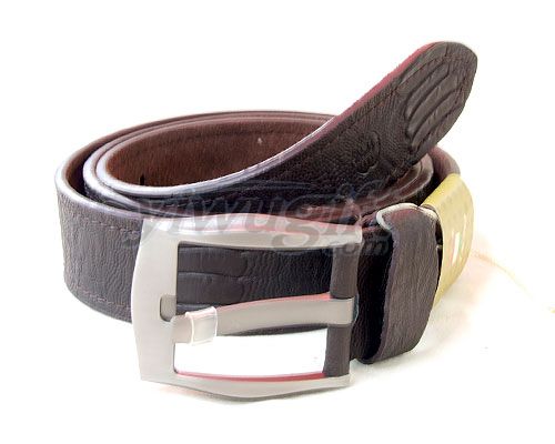 Pin buckle belt, picture