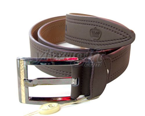 Pin buckle belt, picture