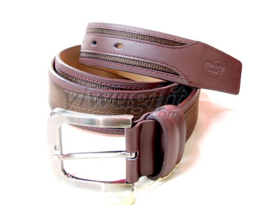 Pin buckle belt, picture